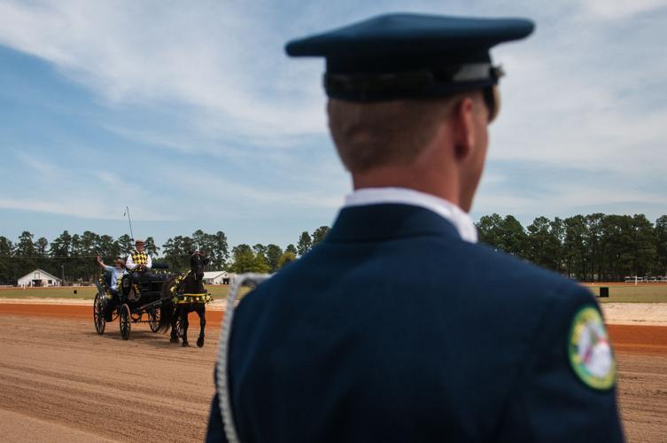 2015 Spring Matinee Races Multimedia