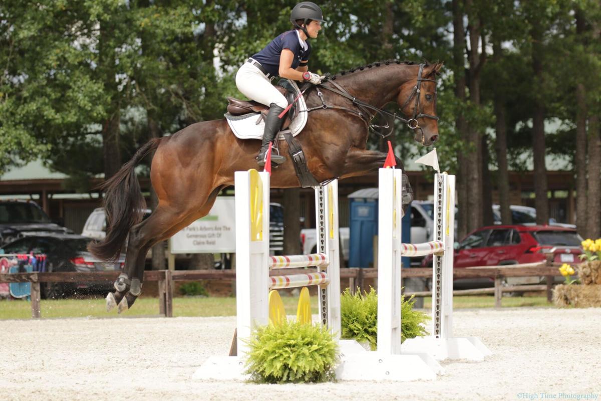 Gone Too Soon A Rider S Farewell To The Horse Who Did Everything Hoofbeats Thepilot Com