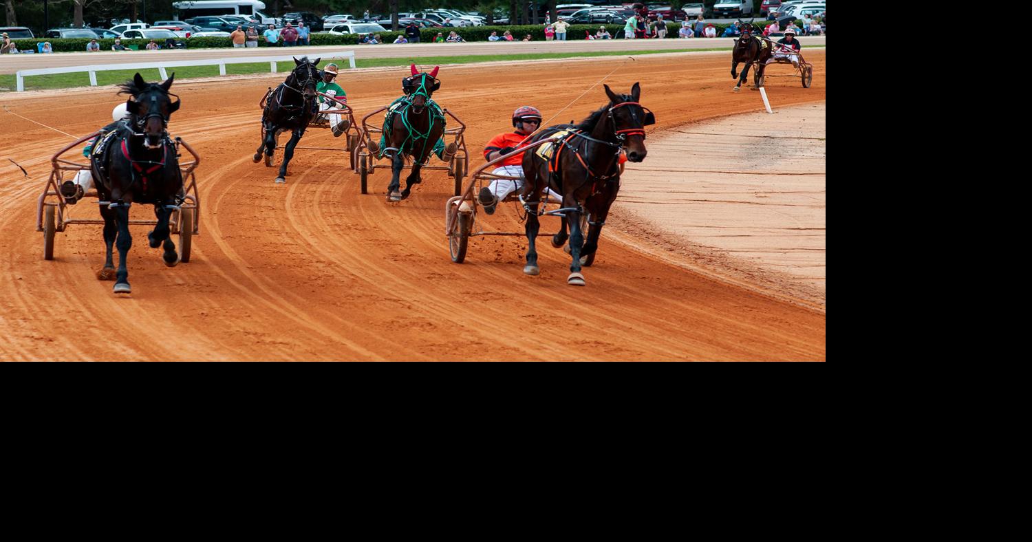 Future of Harness Track, Sidewalks Arise in Village Budget Talks | News ...