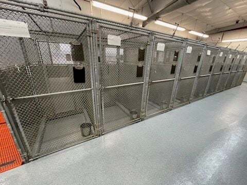 Animal Services Resumes Intake Following Renovation | News | thepilot.com