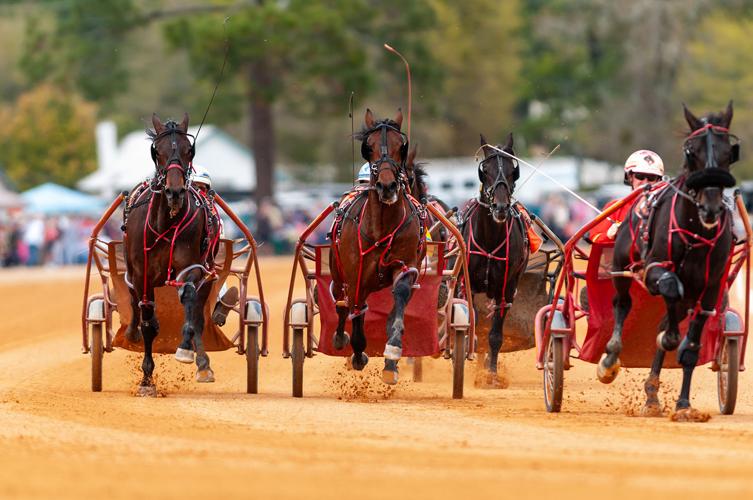 Spring Matinee Harness Races Multimedia