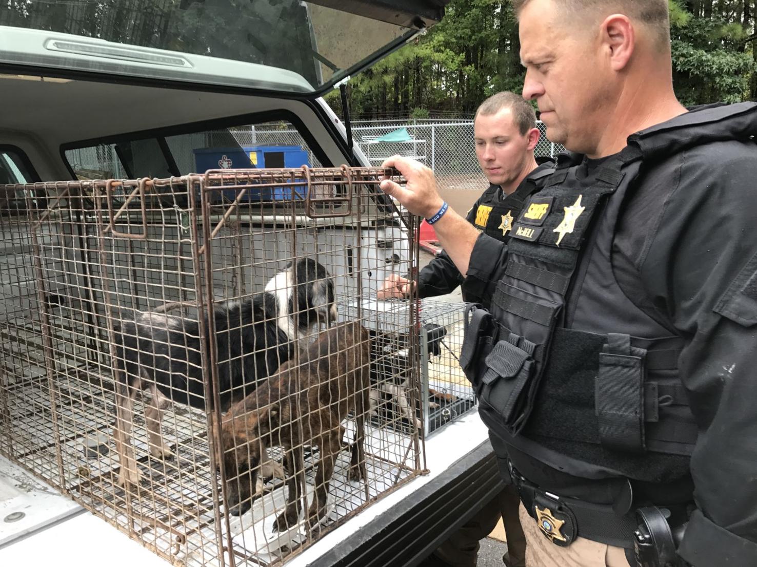 Mother, Daughter Arrested After Sheriff's Deputies Seize 17 Dogs in