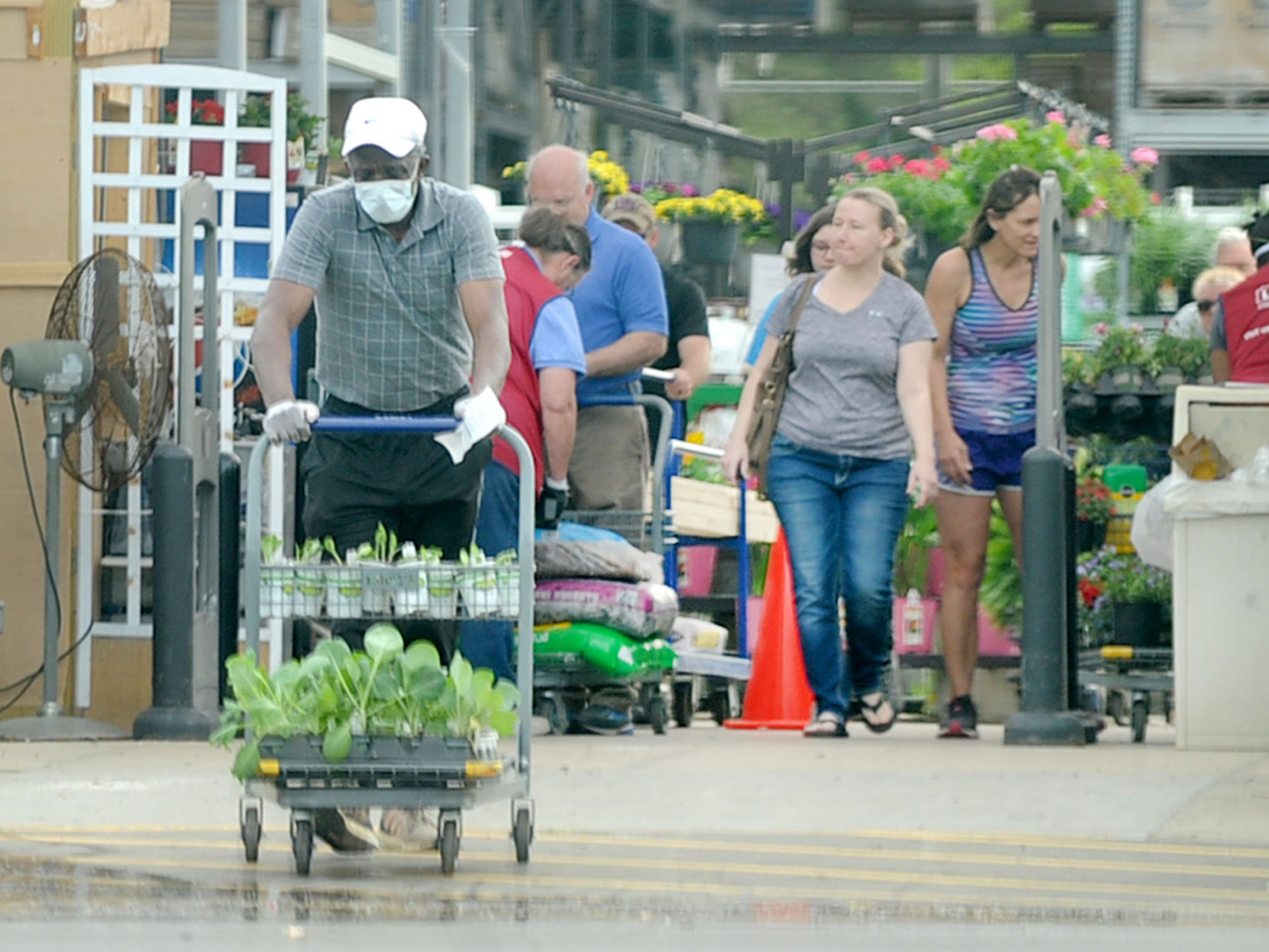 lowe's home improvement southern pines