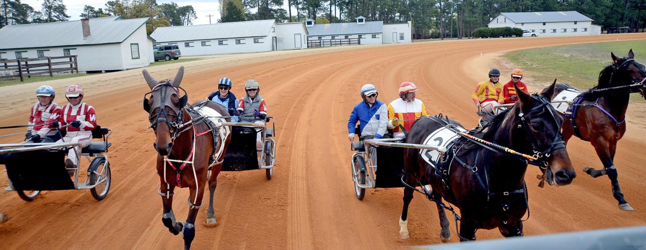 Matinee Races at the Harness Track in Pinehurst Gallery