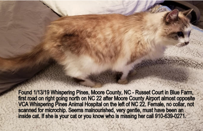 Vca whispering pines animal hospital cheap