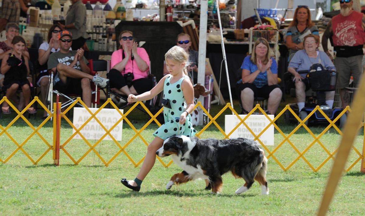 Dogs Converge on Pinehurst to Compete in Kennel Club Show News