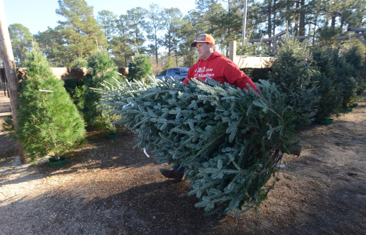 Weather Economy Needle Tree Sellers News Thepilot Com