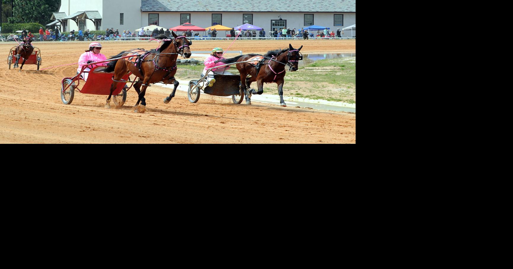 Pinehurst Approves New Agreement for Harness Races | News | thepilot.com