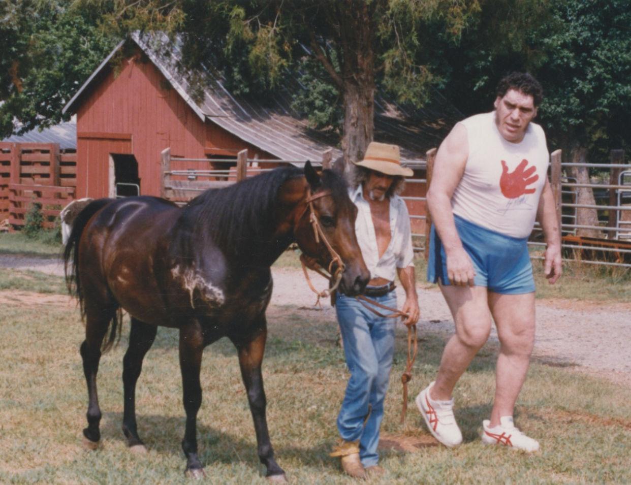 Andre of Ellerbe 'A Gentle Giant' Features