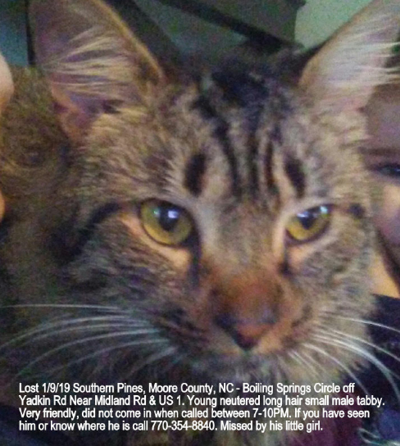 Lost Cat Friendly Long Haired Brown Grey Tabby In Southern Pines Pets Thepilot Com