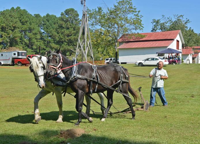 Malcolm Blue Fest Pays Tribute to Farm Heritage Gallery