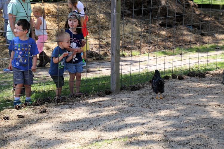 Spring Farm Day Gallery