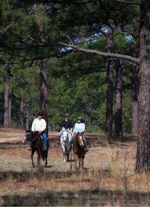 A True Wilderness On The Doorstep Features Thepilot Com