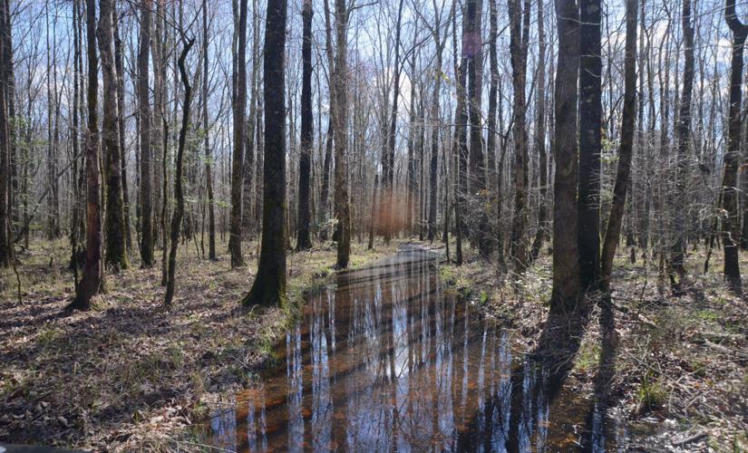 Land Trust Protects 172 Acres in Moore County News