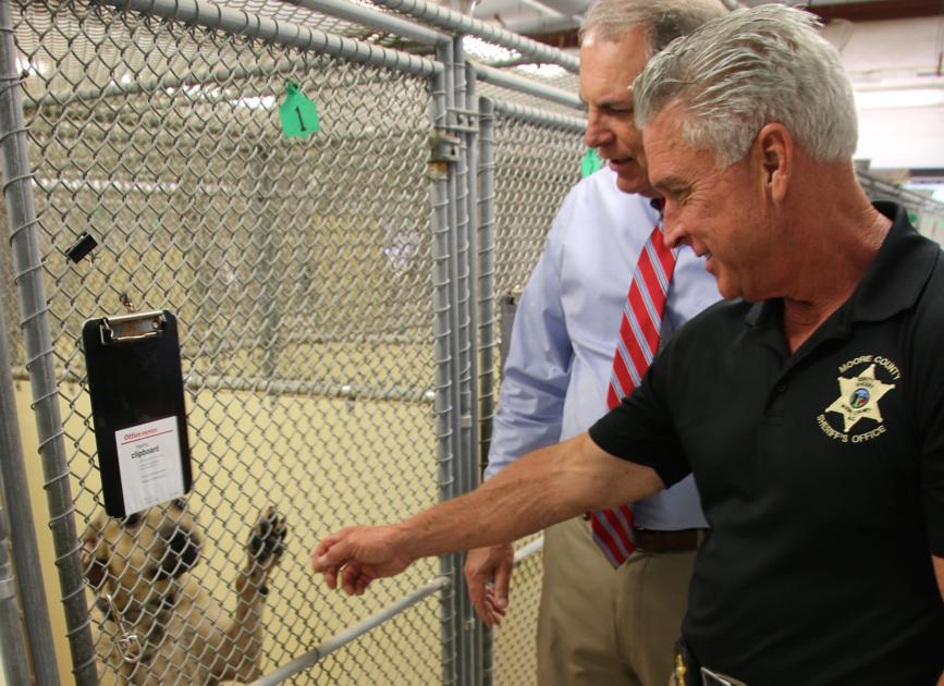 County Animal Shelter to Undergo Remodeling | News ...