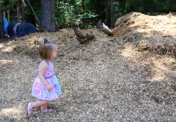 Spring Farm Day Gallery