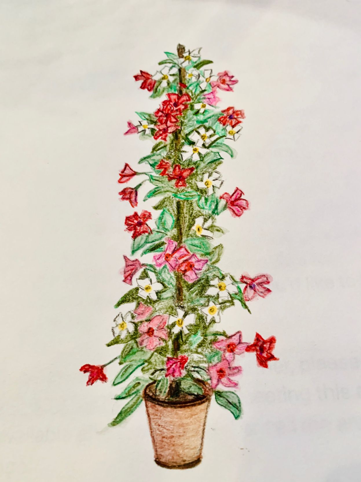 Pinehurst Garden Club Opens Plant Sale Preorders Features