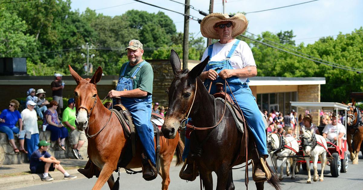 Organizers Plan to Proceed With Farmers Day Festival in Robbins News
