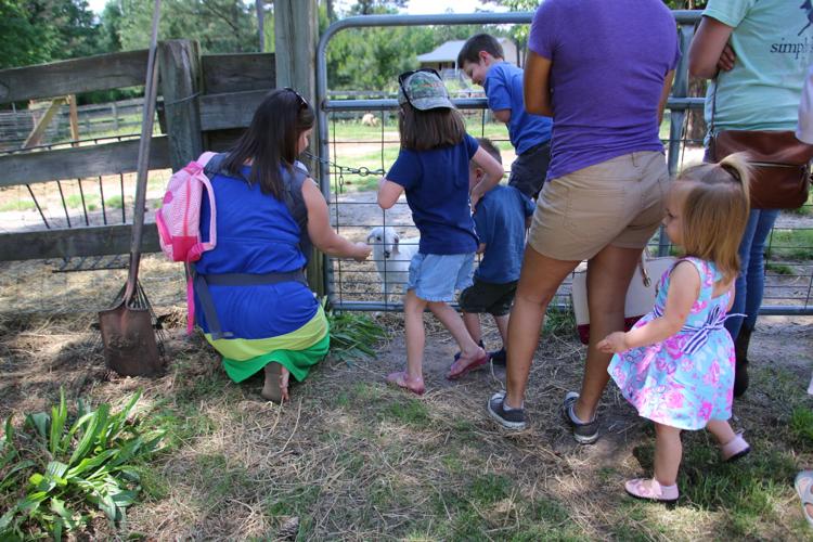 Spring Farm Day Gallery