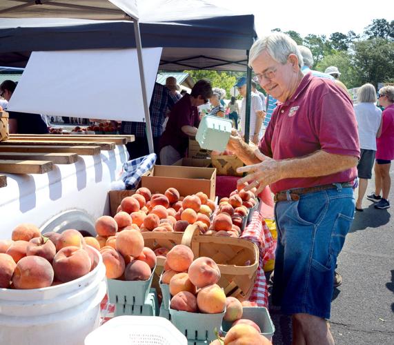 Candor Peach Parade and Festival Gallery