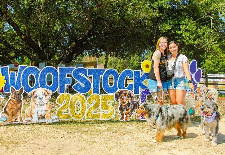 Woofstock 2025 | Gallery | thepilot.com