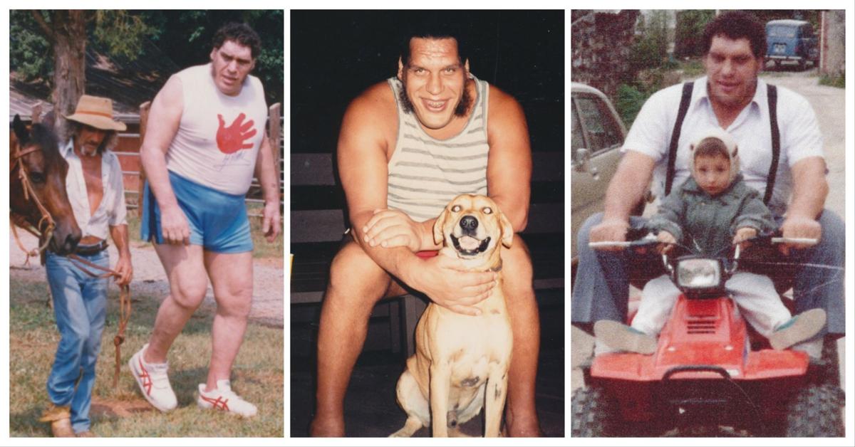 Andre of Ellerbe 'A Gentle Giant' Features