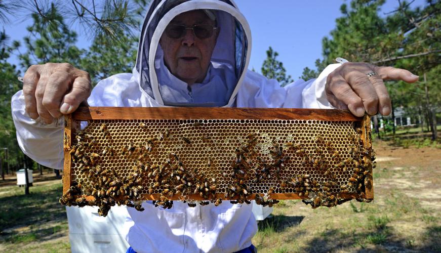 Local beekeeper shares how buying license plates helps honey bees