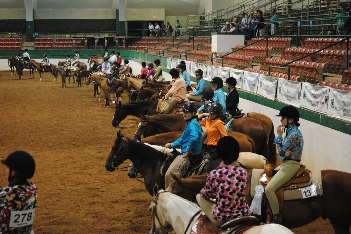 N.C. State 4H Horse Show Multimedia