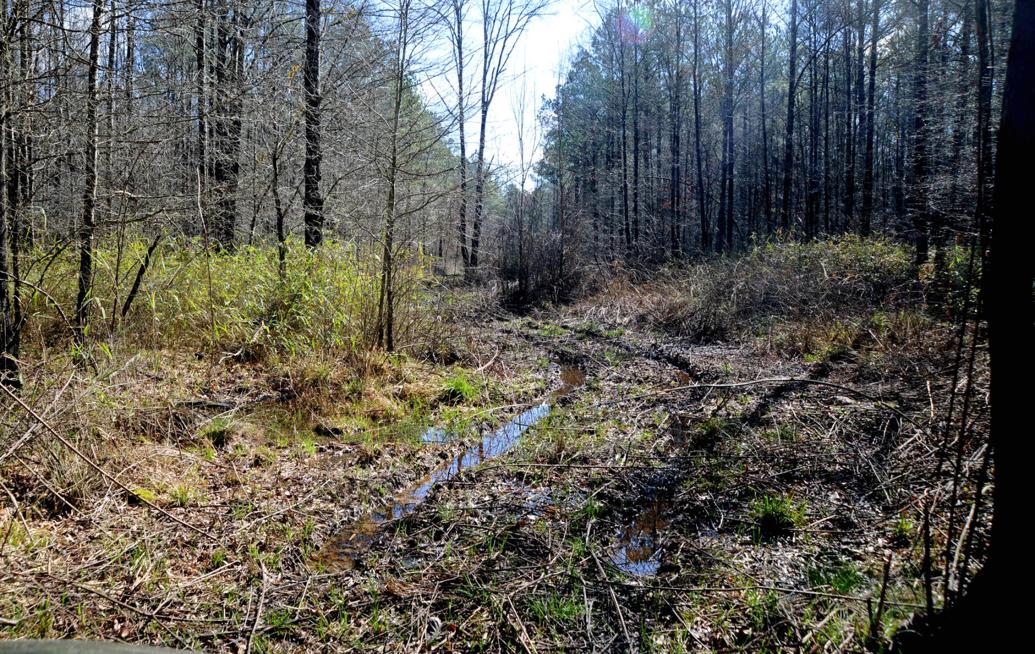 Three Rivers Property, Trail