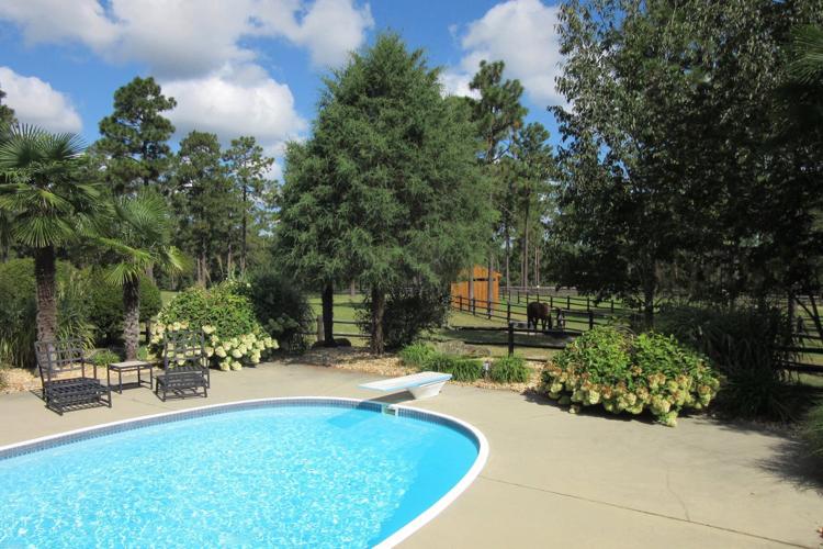 It’s Time to Horse Around Features