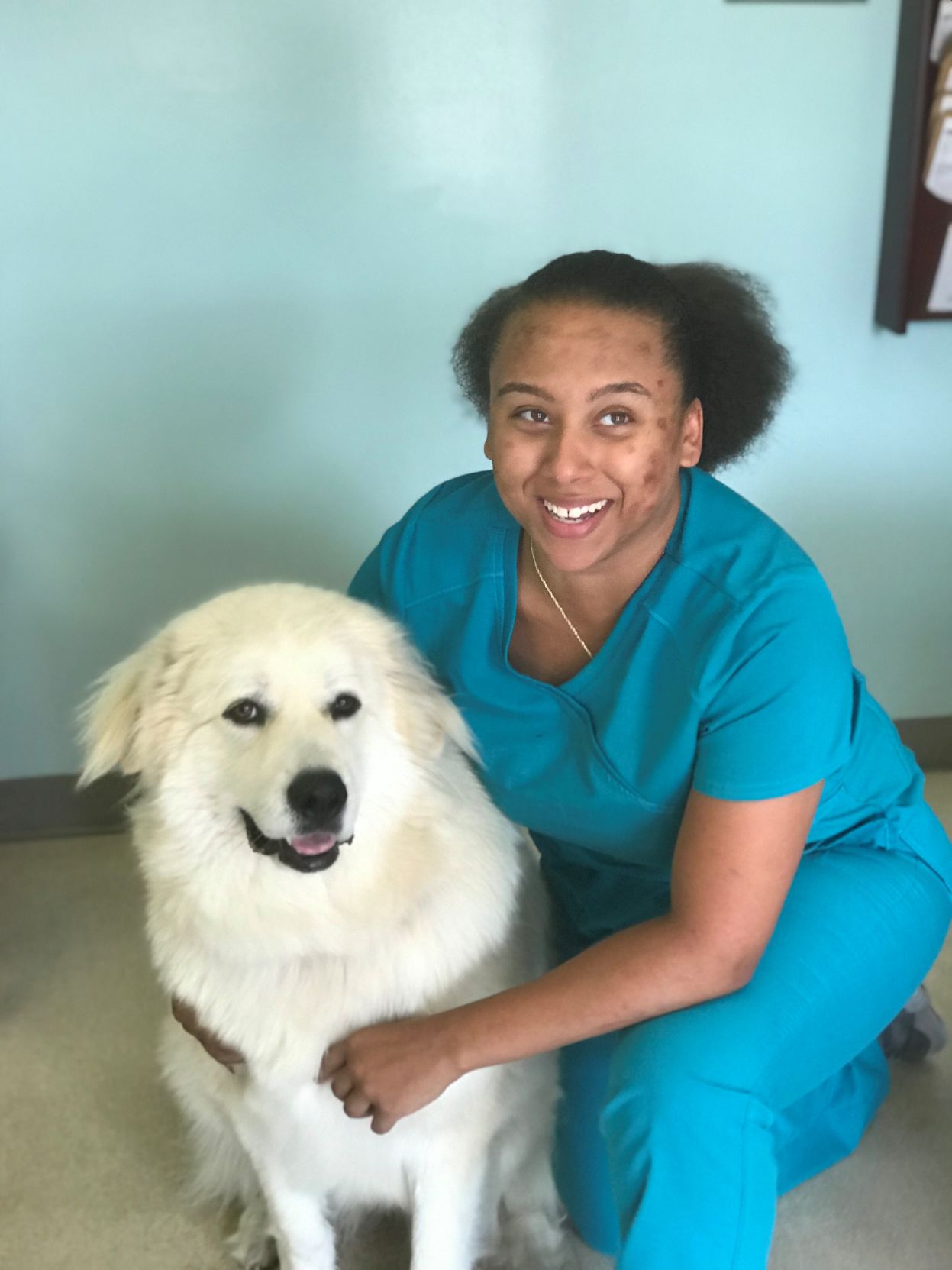 affordable neuter for dogs