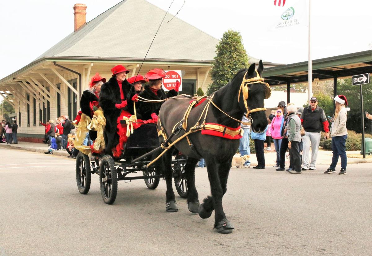 Christmas Carriage Drive Gallery