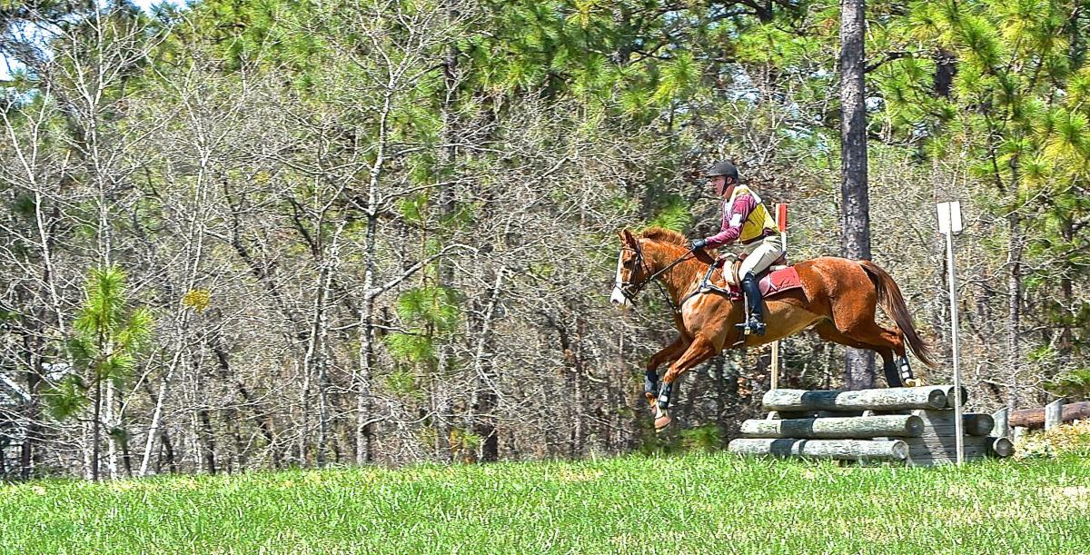 Tamarack Farm Horse Trials Multimedia