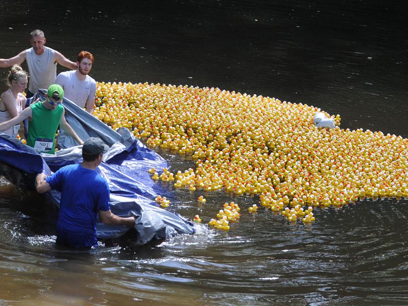 Photos Rubber Duck Regatta at Deep River Gallery