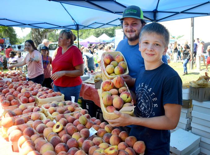 Candor Peach Festival Parade Gallery