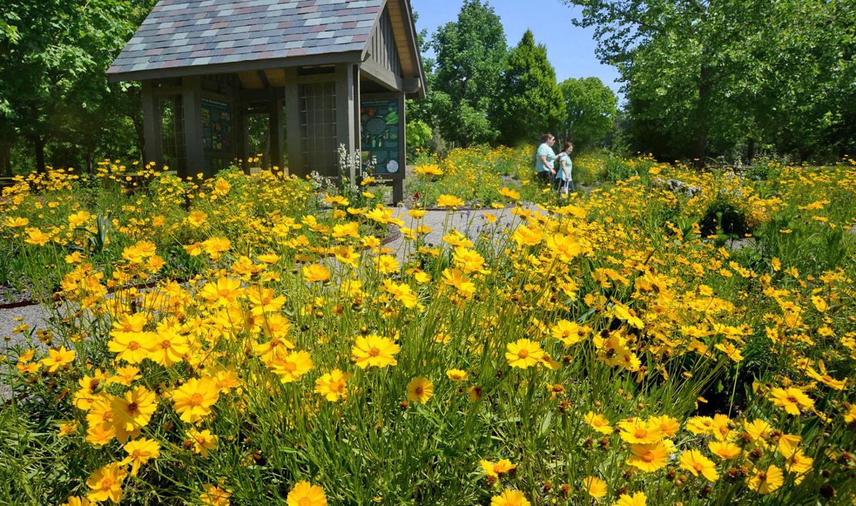 Rich Learning Experience Arboretum’s Native Pollinator Garden