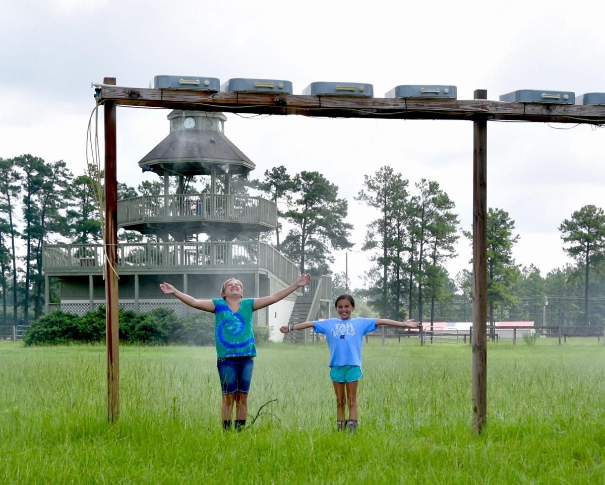 Carolina Horse Park From Pipe Dream To Field Of Dreams Hoofbeats Thepilot Com