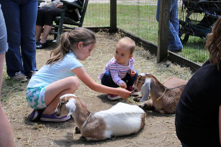 Spring Farm Day Gallery