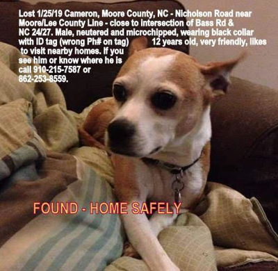 Lost Dog, Terrier Chihuahua Mix in Cameron UPDATE: FOUND | Pets |  
