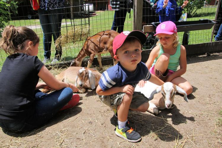 Spring Farm Day Gallery