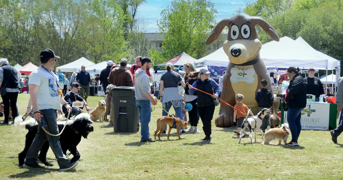 6th Annual Sandhills Dog Fair | Gallery | thepilot.com