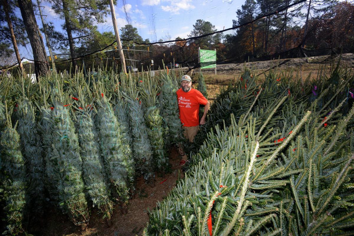 Fresh Cut Christmas Trees Sales Are Brisk Business Thepilot Com