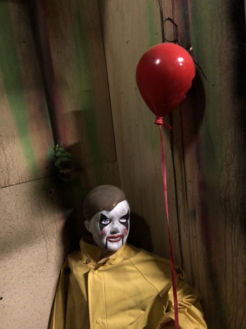 Be on the look-out for ‘Georgie