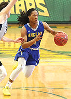 Sheppard All America