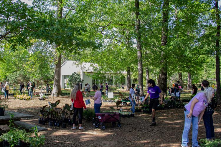 SFA Gardens hosts annual twoday plant sale Multimedia