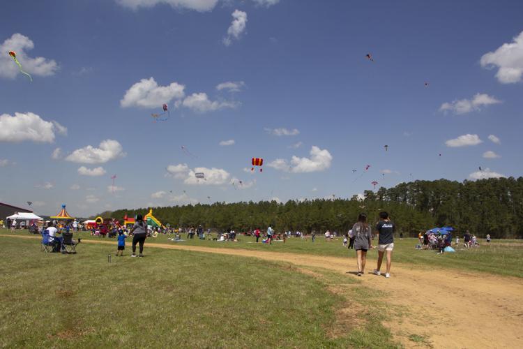 Community attends Kite Fest, raises funds for The Helping House