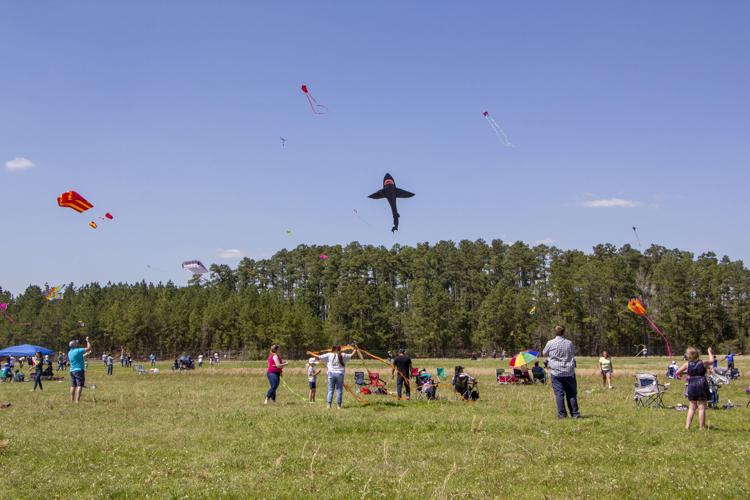 Community attends Kite Fest, raises funds for The Helping House