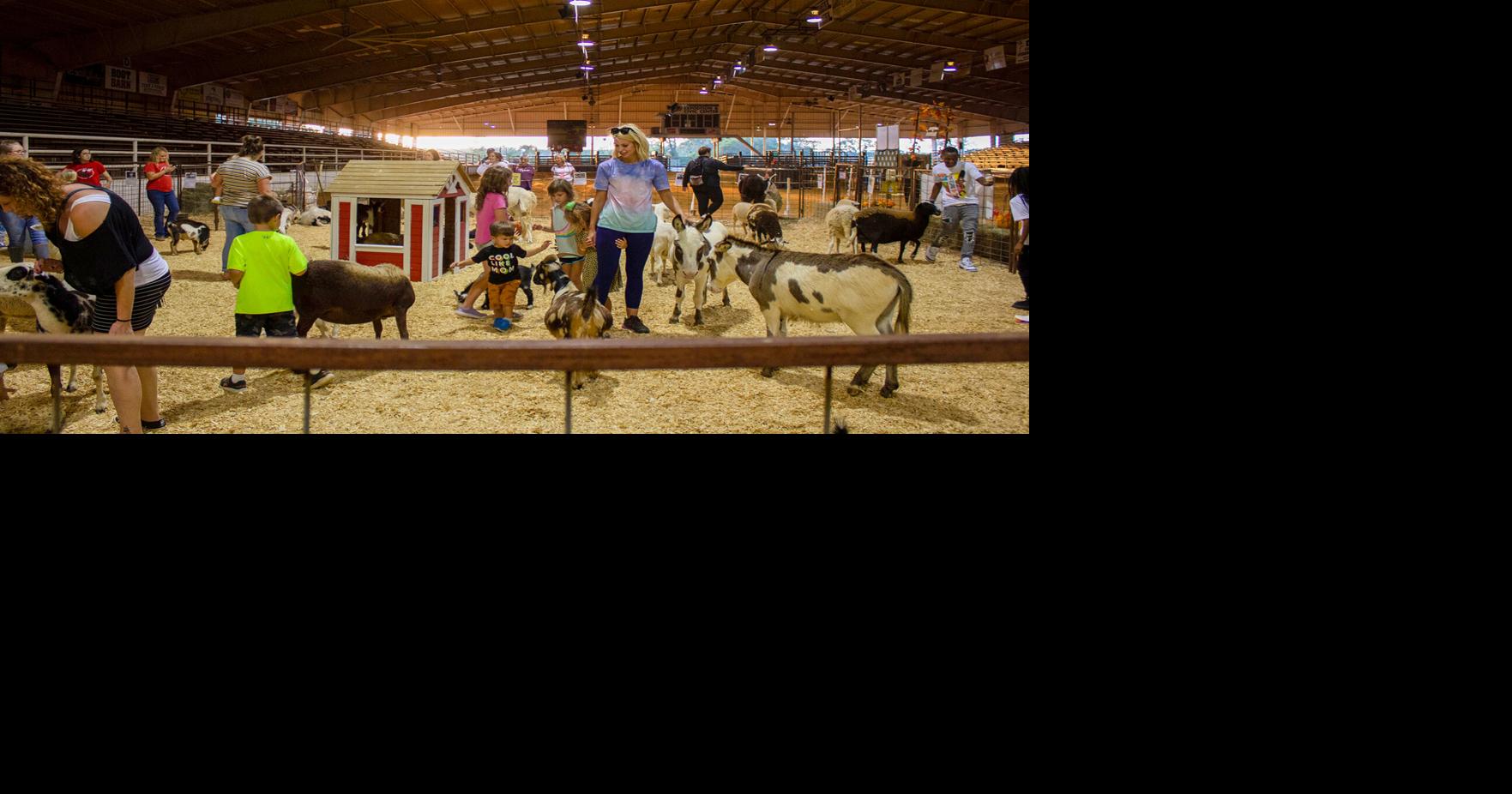 Pineywoods fair comes to Nacogdoches | Multimedia | thepinelog.com