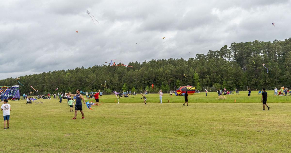 Kite Fest gives community chance to soar