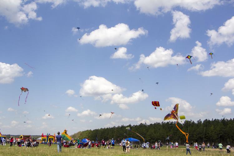 Community attends Kite Fest, raises funds for The Helping House